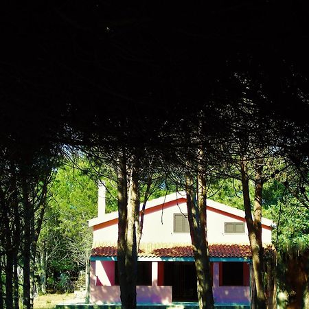 Pineta Spiaggia Grande Calasetta Bagian luar foto