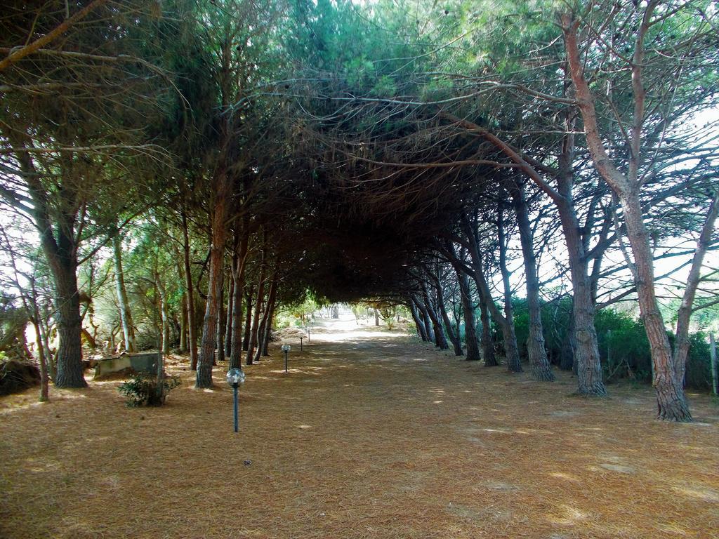 Pineta Spiaggia Grande Calasetta Bagian luar foto