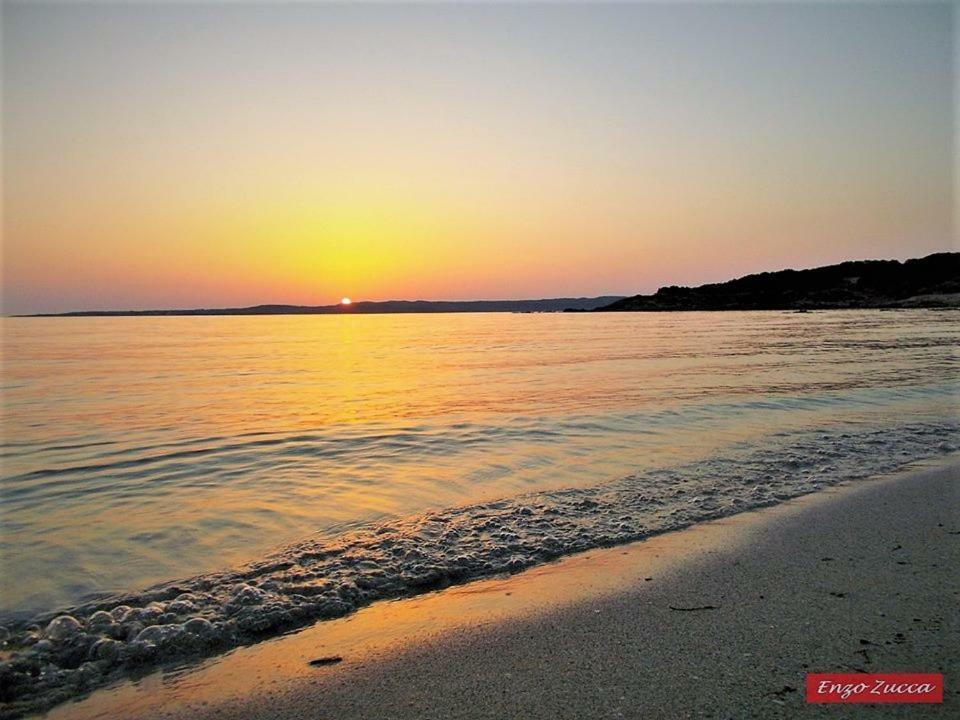 Pineta Spiaggia Grande Calasetta Bagian luar foto
